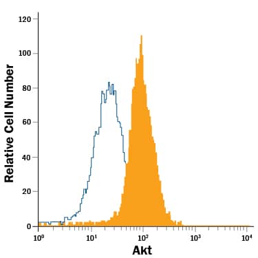 Jurkat human acute T cell leukemia cell line was stained with Mouse Anti-Human/Mouse/Rat Akt Pan Specific APC-conjugated Monoclonal Antibody (Catalog # IC2055A, filled histogram) or isotype control antibody (Catalog # IC0041A, open histogram). View our protocol for Staining Intracellular Molecules.