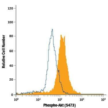 Jurkat human acute T cell leukemia cell line either untreated (open histogram), or treated with 100 nM Calyculin A (Catalog # 1336) for 30 min (filled histogram), was stained with Mouse Anti-Human/Mouse Phospho-Akt (S473) Alexa Fluor® 488-conjugated Monoclonal Antibody (Catalog # IC7794G). To facilitate intracellular staining, cells were fixed with Flow Cytometry Fixation Buffer (Catalog # FC004) and permeabilized with Flow Cytometry Permeabilization/Wash Buffer I (Catalog # FC005). View our protocol for Staining Intracellular Molecules.