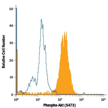 Jurkat human acute T cell leukemia cell line either untreated (open histogram) or treated with 100 nM Calyculin A (Catalog # 1336) for 30 minutes (filled histogram) was stained with Mouse Anti-Human/Mouse Phospho-Akt (S473) PE-conjugated Monoclonal Antibody (Catalog # IC7794P). To facilitate intracellular staining, cells were fixed with Flow Cytometry Fixation Buffer (Catalog # FC004) and permeabilized with Flow Cytometry Permeabilization/Wash Buffer I (Catalog # FC005). View our protocol for Staining Intracellular Molecules.