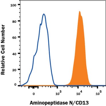 U937 human histiocytic lymphoma cell line was stained with Sheep Anti-Human Aminopeptidase N/CD13 Bio-tinylated Antigen Affinity-purified Polyclonal Antibody (Catalog # BAF3815, filled histogram) or control antibody (Catalog # BAF020, open histogram), followed by Streptavidin-Phycoerythrin (Catalog # F0040). View our protocol for Staining Membrane-associated Proteins.