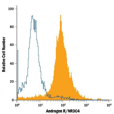 LNCaP human prostate cancer cell line was stained with Mouse Anti-Human/Mouse/Rat Androgen R/NR3C4 PE-conjugated Monoclonal Antibody (Catalog # IC5876P, filled histogram) or isotype control antibody (Catalog # IC0041P, open histogram). To facilitate intracellular staining, cells were fixed with Flow Cytometry Fixation Buffer (Catalog # FC004) and permeabilized with Flow Cytometry Permeabilization/Wash Buffer I (Catalog # FC005). View our protocol for Staining Intracellular Molecules.