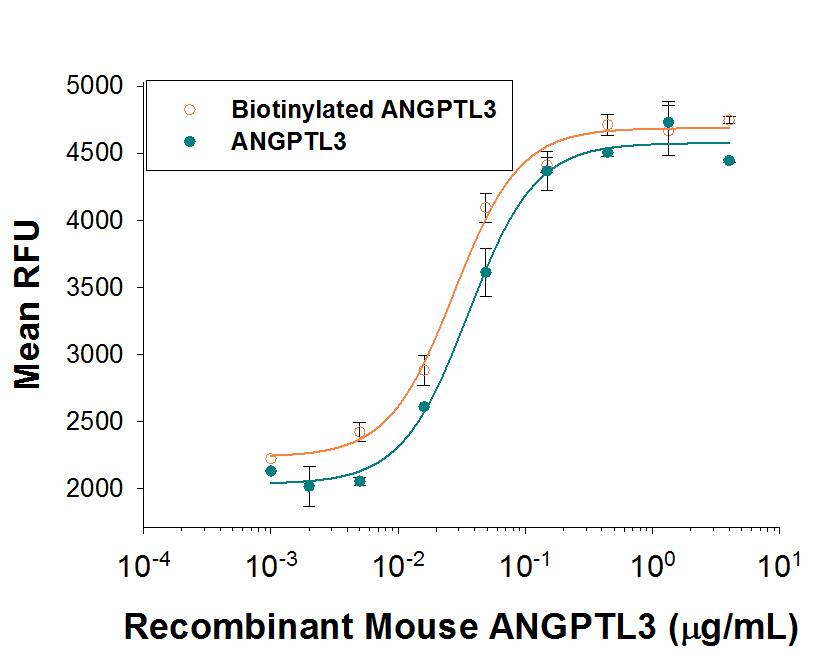 Both Biotinylated rmANGPTL3 (Catalog # BT8344) and unlabeled rmANGPTL3     (Catalog #  8344-AN)  stimulate the expansion of E16-E18 rat liver mononuclear cells link, in the presence of rmSCF     (Catalog #  455-MC), rmTpo     (Catalog # 488-TO), andrmFlt-3L     (Catalog #  427-FL). The ED50 for this effect is 20-120 ng/mL in the presence of a cross-linking antibody, His Tag MAb     (Catalog #  MAB050). The similarity in activity highlights that the biotinylated protein is fully functional.