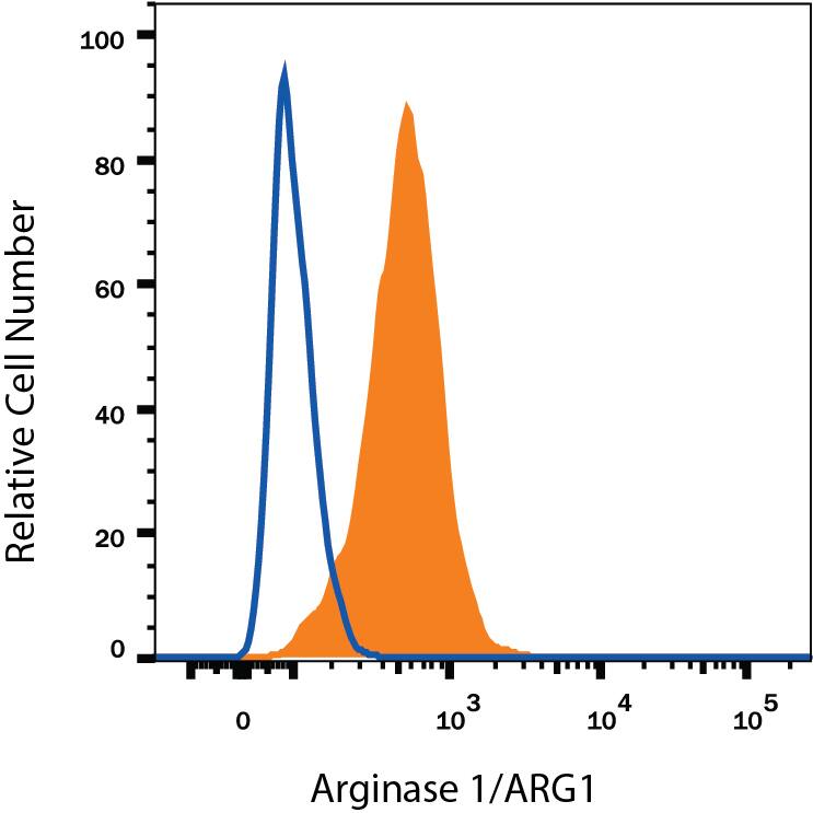HepG2 human hepatocellular carcinoma cell line was stained with Sheep Anti-Human/Mouse Arginase 1/ARG1 PE-conjugated Antigen Affinity-purified Polyclonal Antibody (Catalog # IC5868P, filled histogram) or isotype control antibody (Catalog # IC016P, open histogram). To facilitate intracellular staining, cells were fixed with Flow Cytometry Fixation Buffer (Catalog # FC004) and permeabilized with Flow Cytometry Permeabilization/Wash Buffer I (Catalog # FC005). View our protocol for Staining Intracellular Molecules.
