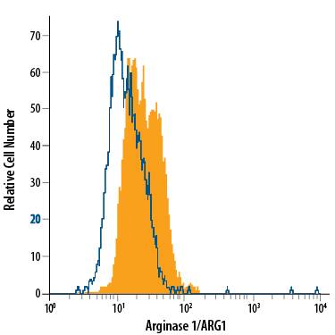 Hepa 1-6 mouse hepatoma cell line was stained with Sheep Anti-Human/Mouse Arginase 1/ARG1 PE-conjugated Antigen Affinity-purified Polyclonal Antibody (Catalog # IC5868P, filled histogram) or isotype control antibody (Catalog # IC016P, open histogram). To facilitate intracellular staining, cells were fixed with Flow Cytometry Fixation Buffer (Catalog # FC004) and permeabilized with Flow Cytometry Permeabilization/Wash Buffer I (Catalog # FC005). View our protocol for Staining Intracellular Molecules.
