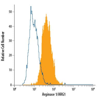 HepG2 human hepatocellular carcinoma cell line was stained with Mouse Anti-Human Arginase 1/ARG1 Alexa Fluor® 488-conjugated Monoclonal Antibody (Catalog # IC8026G, filled histogram) or isotype control antibody (IC0041G, open histogram). To facilitate intracellular staining, cells were fixed with Flow Cytometry Fixation Buffer (FC004) and permeabilized with Flow Cytometry Permeabilization/Wash Buffer I (FC005). View our protocol for Staining Intracellular Molecules.