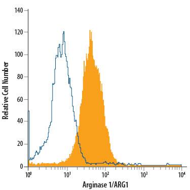 HepG2 human hepatocellular carcinoma cell line was stained with Mouse Anti-Human Arginase 1/ARG1 Alexa Fluor® 700-conjugated Monoclonal Antibody (Catalog # IC8026N, filled histogram) or isotype control antibody (Catalog # IC0041N, open histogram). To facilitate intracellular staining, cells were fixed with Flow Cytometry Fixation Buffer (Catalog # FC004) and permeabilized with Flow Cytometry Permeabilization/Wash Buffer I (Catalog # FC005). View our protocol for Staining Intracellular Molecules.