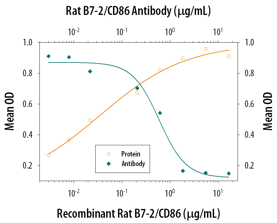 Recombinant Rat B7‑2/CD86 Fc Chimera (Catalog # 1340-B2) co-stimulates IL‑2 secretion in the Jurkat human acute T cell leukemia cell line in the presence of PHA in a dose-dependent manner (orange line), as measured by the Human IL‑2 Quantikine ELISA Kit (Catalog # D2050). IL‑2 secretion elicited by Recombinant Rat B7‑2/CD86 Fc Chimera (1 µg/mL) and PHA (10 µg/mL) is neutralized (green line) by increasing concentrations of Mouse Anti-Rat B7‑2/CD86 Monoclonal Antibody (Catalog # MAB13401). The ND50 is typically 0.3‑1.0 µg/mL.