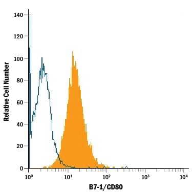 Raji human Burkitt's lymphoma cell line was stained with Mouse Anti-Human B7‑1/CD80 Fluorescein‑conjugated Monoclonal Antibody (Catalog # FAB140F, filled histogram) or isotype control antibody (Catalog # IC002F, open histogram). View our protocol for Staining Membrane-associated Proteins.