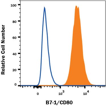 Raji human Burkitt's lymphoma cell line was stained with Mouse Anti-Human B7-1/CD80 Alexa Fluor® 488-conjugated Monoclonal Antibody (Catalog # FAB140G, filled histogram) or isotype control antibody (Catalog # IC002G, open histogram). View our protocol for Staining Membrane-associated Proteins.