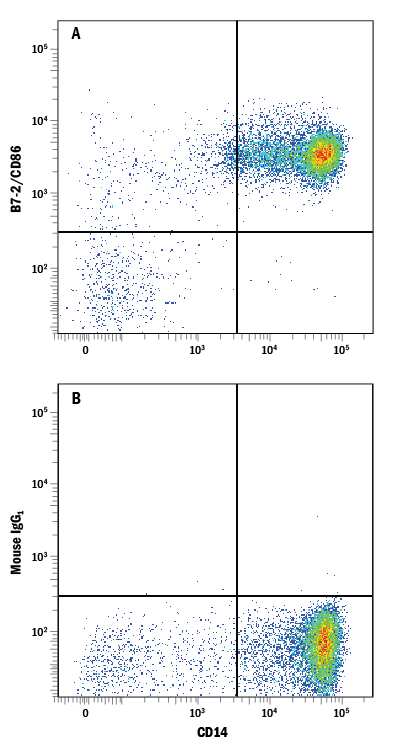 Human peripheral blood monocytes were stained with Mouse Anti-Human CD14 PE-conjugated Monoclonal Antibody (Catalog # FAB3832P) and either (A) Mouse Anti-Human B7-2/CD86 APC-conjugated Monoclonal Antibody (Catalog # FAB141A) or (B) Mouse IgG1Allophycocyanin Isotype Control (Catalog # IC002A). View our protocol for Staining Membrane-associated Proteins.