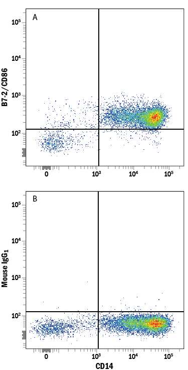 Human peripheral blood monocytes were stained with Mouse Anti-Human CD14 APC-conjugated Monoclonal Antibody (Catalog # FAB3832A) and either (A) Mouse Anti-Human B7-2/CD86 Fluorescein-conjugated Monoclonal Antibody (Catalog # FAB141F) or (B) Mouse IgG1Fluorescein Isotype Control (Catalog # IC002F). View our protocol for Staining Membrane-associated Proteins.