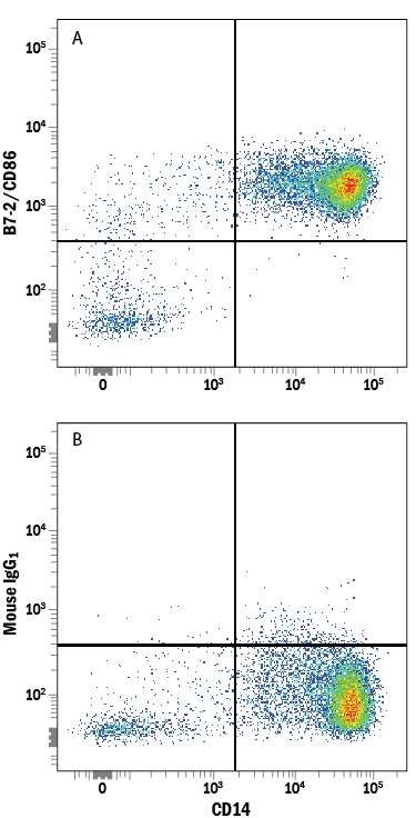 Human peripheral blood monocytes were stained with Mouse Anti-Human CD14 APC-conjugated Monoclonal Antibody (Catalog # FAB3832A) and either (A) Mouse Anti-Human B7-2/CD86 PE-conjugated Monoclonal Antibody (Catalog # FAB141P) or (B) Mouse IgG1Phycoerythrin Isotype Control (Catalog # IC002P). View our protocol for Staining Membrane-associated Proteins.