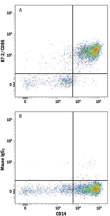 Human peripheral blood mononuclear cells (PBMCs) were stained with Mouse Anti-Human CD14 PE-conjugated Monoclonal Antibody (Catalog # FAB3832P) and either (A) Mouse Anti-Human B7-2/CD86 Alexa Fluor® 647-conjugated Monoclonal Antibody (Catalog # FAB141R) or (B) Mouse IgG1Alexa Fluor 647 Isotype Control (Catalog # IC002R). View our protocol for Staining Membrane-associated Proteins.