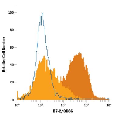 Mouse splenocytes, untreated (light orange histogram), or treated with 1 µg/mL LPS for 3 days (dark orange histogram), were stained with Rat Anti-Mouse B7-2/CD86 Alexa Fluor® 488-conjugated Monoclonal Antibody (Catalog # FAB741G, filled histogram) or isotype control antibody (Catalog # IC006G, open histogram). View our protocol for Staining Membrane-associated Proteins.