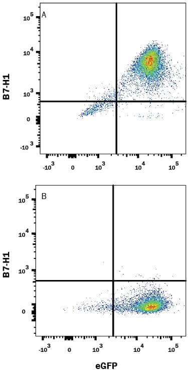 HEK293 human embryonic kidney cell line transfected with either (A) mouse B7-H1 or (B) irrelevant transfectants and eGFP was stained with Rat Anti-Mouse B7-H1/PD-L1 Alexa Fluor® 594-conjugated Monoclonal Antibody (Catalog # FAB9078T). Quadrant markers were set based on control antibody staining (Catalog # IC006T). View our protocol for Staining Membrane-associated Proteins.
