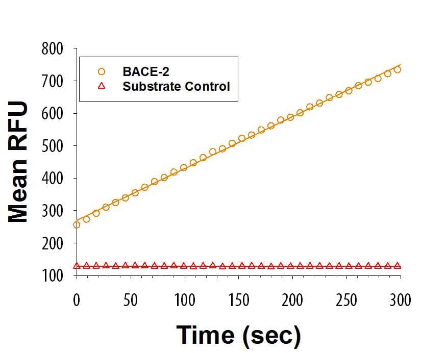 Recombinant Human BACE‑2 (Catalog # 4097-ASB) is measured by its ability to cleave a fluorogenic peptide substrate Mca-KPLGL-Dpa-AR-NH2     (Catalog #  ES010). 