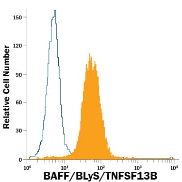 Mouse splenocytes were stained with Rat Anti-Mouse BAFF/BLyS/TNFSF13B PE-conjugated Monoclonal Antibody (Catalog # IC1357P, filled histogram) or isotype control antibody (Catalog # IC006P, open histogram). To facilitate intracellular staining, cells were fixed with Flow Cytometry Fixation Buffer (Catalog # FC004) and permeabilized with Flow Cytometry Permeabilization/Wash Buffer I (Catalog # FC005). View our protocol for Staining Intracellular Molecules.