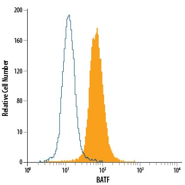 Raji human Burkitt's lymphoma cell line was stained with Mouse Anti-Human BATF Monoclonal Antibody (Catalog # MAB8054, filled histogram) or isotype control antibody (Catalog # MAB0041, open histogram), followed by Phycoerythrin-conjugated Anti-Mouse IgG Secondary Antibody (Catalog # F0102B). To facilitate intracellular staining, cells were fixed with paraformaldehyde and permeabilized with saponin.
