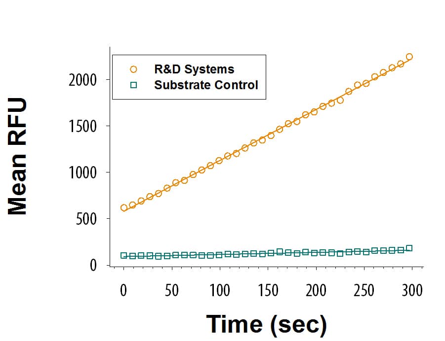 Recombinant Human BCAT1 (Catalog # 9536-BA) is measured byits ability to convert leucine and alpha-ketoglutarate to alpha-ketoisocaproateand glutamate.