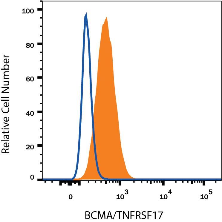 RPMI 8226 human multiple myeloma cell line was stained with Goat Anti-Human BCMA/TNFRSF17 Fluorescein-conjugated Antigen Affinity-purified Polyclonal Antibody (Catalog # FAB193F, filled histogram) or control antibody (Catalog # IC108F, open histogram). View our protocol for Staining Membrane-associated Proteins.