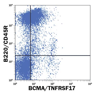 Mouse splenocytes were stained with Rat Anti-Mouse BCMA/TNFRSF17 Fluorescein-conjugated Monoclonal Antibody (Catalog # FAB593F) and Rat Anti-Mouse B220/CD45R APC-conjugated Monoclonal Antibody (Catalog # FAB1217A). Quadrant markers were set based on control antibody staining . View our protocol for Staining Membrane-associated Proteins.