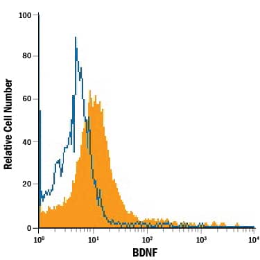 U-87 MG human glioblastoma/astrocytoma cell line was stained with Mouse Anti-Human BDNF APC-conjugated Monoclonal Antibody (Catalog # IC2481A, filled histogram) or isotype control antibody (Catalog # IC002A, open histogram). To facilitate intracellular staining, cells were fixed and permeabilized with FlowX FoxP3 Fixation & Permeabilization Buffer Kit (Catalog # FC012). View our protocol for Staining Intracellular Molecules.