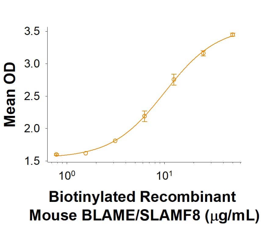 When Recombinant Mouse BLAME/SLAMF8 Fc Chimera Protein (Catalog # 10336-BL) is immobilized at 5  μg/mL (100  μL/well), the concentration of Biotinylated Recombinant Mouse BLAME/SLAMF8 Fc Chimera Protein that produces 50% of the optimal binding response is found to be approximately 4-20  μg/mL.