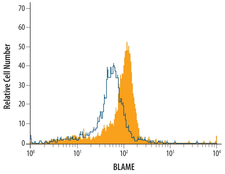 U937 human histiocytic lymphoma cell line were treated for 18 hours with 20 ng/mL Recombinant Human IFN‑ gamma  (Catalog # 285-IF) then stained with Human BLAME/SLAMF8 Antigen Affinity‑purified Polyclonal Antibody (Catalog # AF1907, filled histogram) or control antibody (Catalog # AB‑108‑C, open histogram), followed by Phycoerythrin-conjugated Anti-Goat IgG Secondary Antibody (Catalog # F0107).