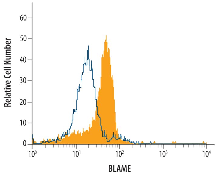 U937 human histiocytic lymphoma cell line was treated for 18 hours with 20 ng/mL Recombinant Human IFN‑ gamma  (Catalog # 285-IF) then stained with Human BLAME/SLAMF8 Biotinylated Antigen Affinity-purified Polyclonal Antibody (Catalog # BAF1907, filled histogram) or isotype control antibody (Catalog # BAF108, open histogram), followed by Streptavidin-Phycoerythrin (Catalog # F0040).