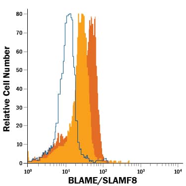Human monocytes, untreated (filled histogram, gold) or treated with Recombinant Human IFN-gamma (Catalog # 285-IF; filled histogram, orange), were stained with Mouse Anti-Human BLAME/SLAMF8 Fluorescein-conjugated Monoclonal Antibody (Catalog # FAB19072F) or isotype control antibody (Catalog # IC002F, open histogram). View our protocol for Staining Membrane-associated Proteins.