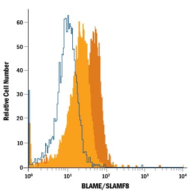 Human peripheral blood monocytes untreated (light orange filled histogram) or treated with Recombinant Human IFN-gamma (Catalog # 285-IF, dark orange filled histogram) were stained with Mouse Anti-Human BLAME/SLAMF8 PE-conjugated Monoclonal Antibody (Catalog # FAB19072P) or isotype control antibody (Catalog # IC002P, open histogram). View our protocol for Staining Membrane-associated Proteins.