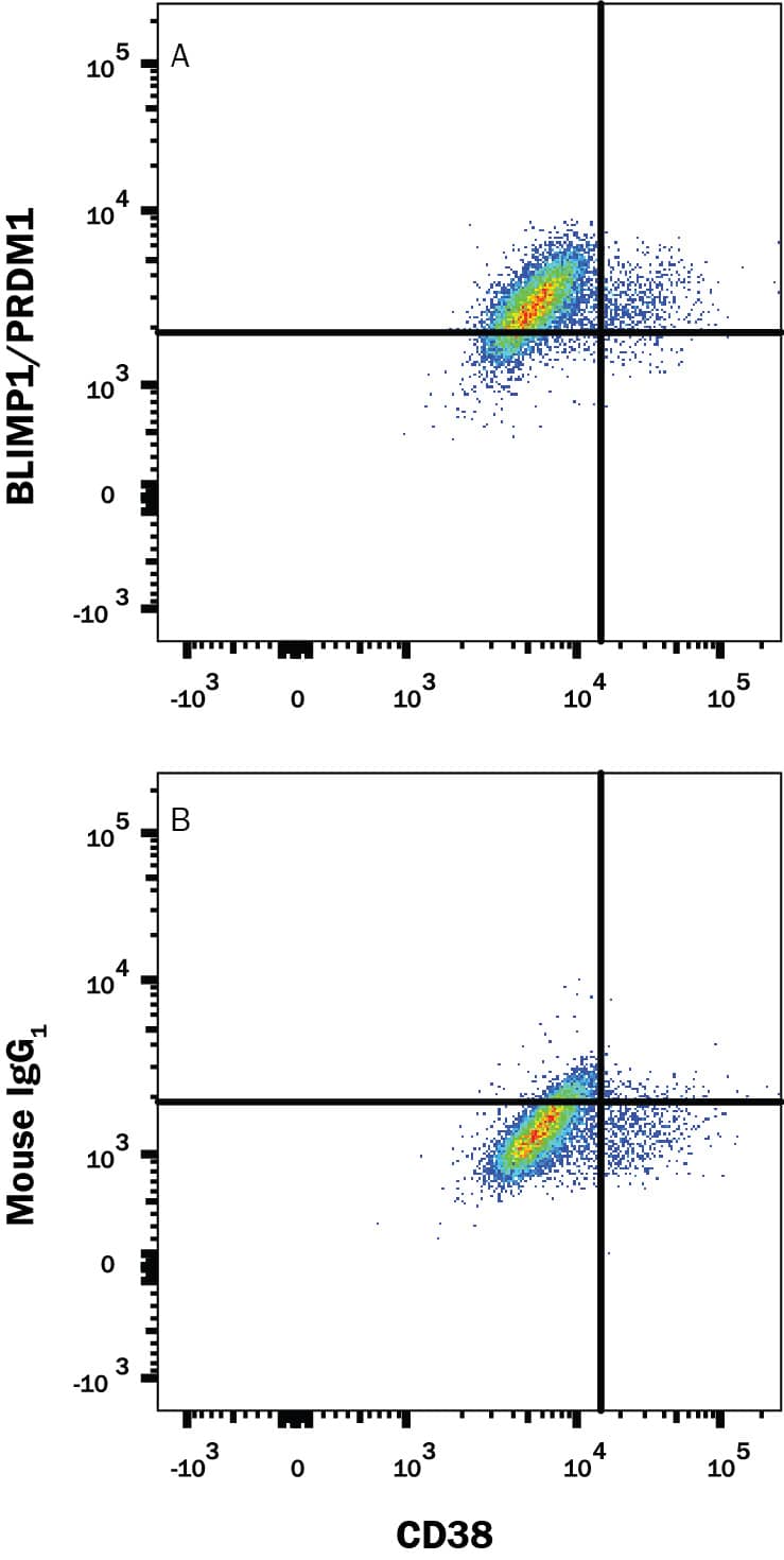 U266 human myeloma cell line was stained with Mouse Anti-Human CD38 PE-conjugated Monoclonal Antibody (Catalog # FAB2404P) and either (A) Mouse Anti-Human BLIMP1/PRDM1 Alexa Fluor® 647-conjugated Monoclonal Antibody (Catalog # IC36081R) or (B) Mouse IgG1Alexa Fluor 647 Isotype Control (Catalog # IC002R). To facilitate intracellular staining, cells were fixed and permeabilized with FlowX FoxP3 Fixation & Permeabilization Buffer Kit (Catalog # FC012). View our protocol for Staining Intracellular Molecules.
