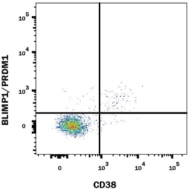 Human peripheral blood mononuclear cells (PBMCs) gated on CD19+CD3-cells were stained with Mouse Anti-Human BLIMP1/PRDM1 Alexa Fluor® 647-conjugated Monoclonal Antibody (Catalog # IC36081R) and Mouse Anti-Human CD38 PerCP-conjugated Monoclonal Antibody (Catalog # FAB2404C). Quadrant markers were set based on control antibody staining (Catalog # IC002R). To facilitate intracellular staining, cells were fixed and permeabilized with FlowX FoxP3 Fixation & Permeabilization Buffer Kit (Catalog # FC012). View our protocol for Staining Intracellular Molecules.