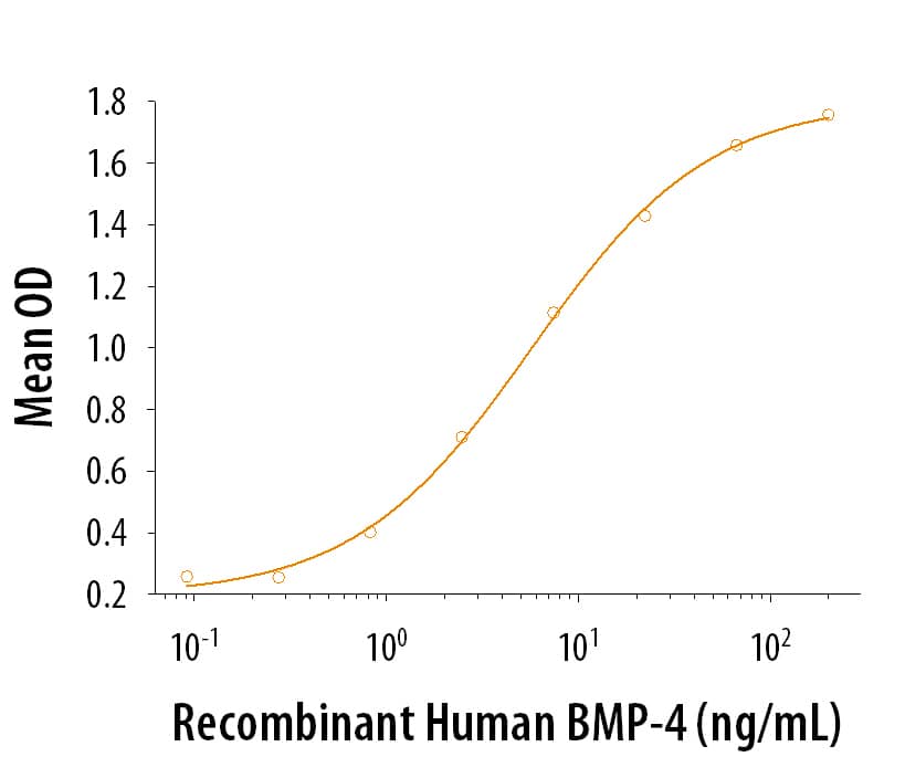 ProDots® Recombinant Human BMP-4 induces alkaline phosphatase production in the ATDC5 mouse chondrogenic cell line. The ED50 for this effect is 2.5-15.0 ng/mL.