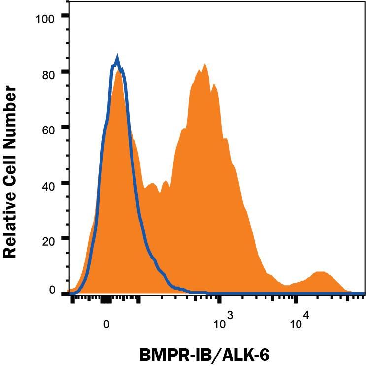 Human iPS cells differentiated to mesoderm (using Catalog # SC030B) were stained with Mouse Anti-Human BMPR-IB/ALK-6 PE-conjugated Monoclonal Antibody (Catalog # FAB5051P, filled histogram) or isotype control antibody (Catalog # IC0041P, open histogram). View our protocol for Staining Membrane-associated Proteins.