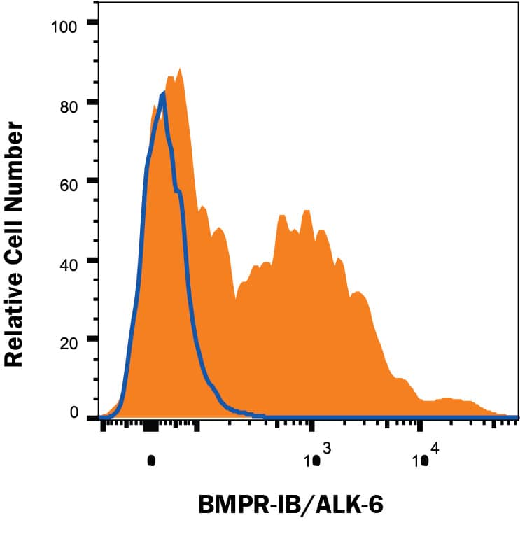 Human iPS cells differentiated to mesoderm (using Catalog # SC030B) were stained with Mouse Anti-Human BMPR-IB/ALK-6 Monoclonal Antibody (Catalog # MAB5051, filled histogram) or isotype control antibody (Catalog # MAB0041, open histogram) followed by anti-Mouse IgG PE-conjugated secondary antibosy (Catalog # F0101B). View our protocol for Staining Membrane-associated Proteins.