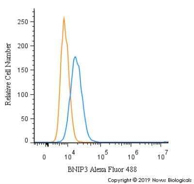 Flow Cytometry: BNIP3 Antibody [NBP1-77683] - An intracellular stain was performed on PC12 cells with BNIP3 Antibody NBP1-77683AF488 (blue) and a matched isotype control (orange). Cells were fixed with 4% PFA and then permeabilized with 0.1% saponin. Cells were incubated in an antibody dilution of 10 ug/mL for 30 minutes at room temperature. Both antibodies were conjugated to Alexa Fluor 488.