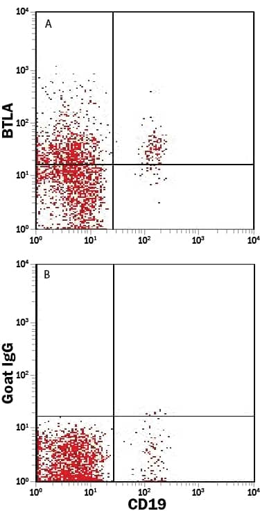 Human whole blood lymphocytes were stained with Mouse Anti-Human CD19 Fluorescein-conjugated Monoclonal Antibody (Catalog # FAB4867F) and either (A) Goat Anti-Human BTLA APC-conjugated Antigen Affinity-purified Polyclonal Antibody (Catalog # FAB3354A) or (B) Normal Goat IgG Allophycocyanin Control (Catalog # IC108A). View our protocol for Staining Membrane-associated Proteins.