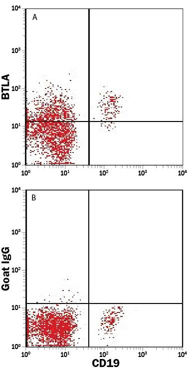 Human whole blood lymphocytes were stained with Mouse Anti-Human CD19 Fluorescein-conjugated Monoclonal Antibody (Catalog # FAB4867F) and either (A) Goat Anti-Human BTLA PerCP-conjugated Antigen Affinity-purified Polyclonal Antibody (Catalog # FAB3354C) or (B) Normal Goat IgG PerCP Control (Catalog # IC108C). View our protocol for Staining Membrane-associated Proteins.