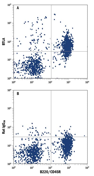 Mouse splenocytes were stained with Rat Anti-Mouse B220/CD45R APC-conjugated Monoclonal Antibody (Catalog # FAB1217A) and either (A) Rat Anti-Mouse BTLA Alexa Fluor® 488-conjugated Monoclonal Antibody (Catalog # FAB7600G) or (B) Rat IgG2BAlexa Fluor 488 Isotype Control (Catalog # IC013G). View our protocol for Staining Membrane-associated Proteins.