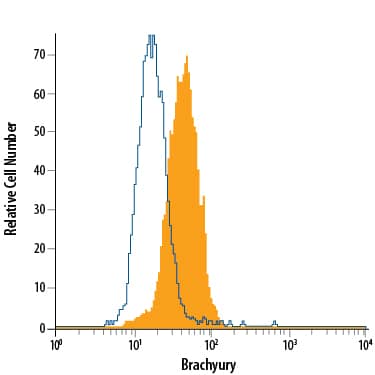 D3 mouse embryonic stem cell line differentiated with mouse serum for 4 days was stained with Goat Anti-Human/Mouse Brachyury Alexa Fluor® 488-conjugated Antigen Affinity-purified Polyclonal Antibody (Catalog # IC2085G, filled histogram) or isotype control antibody (Catalog # IC108G, open histogram). To facilitate intracellular staining, cells were fixed with Flow Cytometry Fixation Buffer (Catalog # FC004) and permeabilized with Flow Cytometry Permeabilization/Wash Buffer I (Catalog # FC005). View our protocol for Staining Intracellular Molecules.