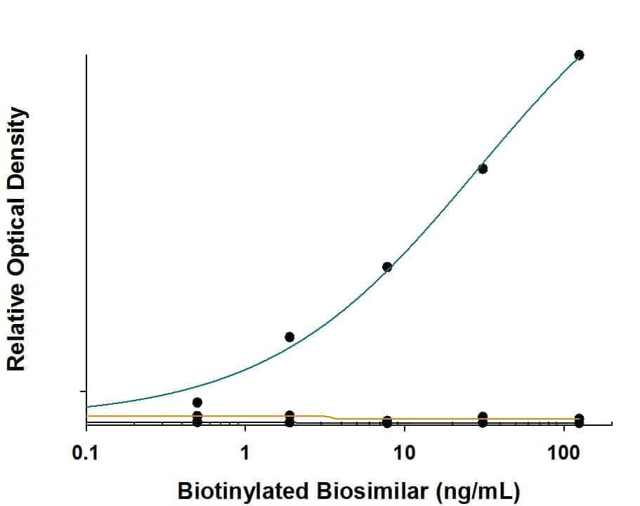 Biotinylated biosimilars were serially diluted and incubated with Anti-Brentuximab (Anti-Idiotype) Antibody (Catalog # MAB9584, green line) coated at 1 μg/mL on a 96-well polystyrene plate. No cross-reactivity with Rituximab (black line) or biotinylated IgG control (orange line) was observed.