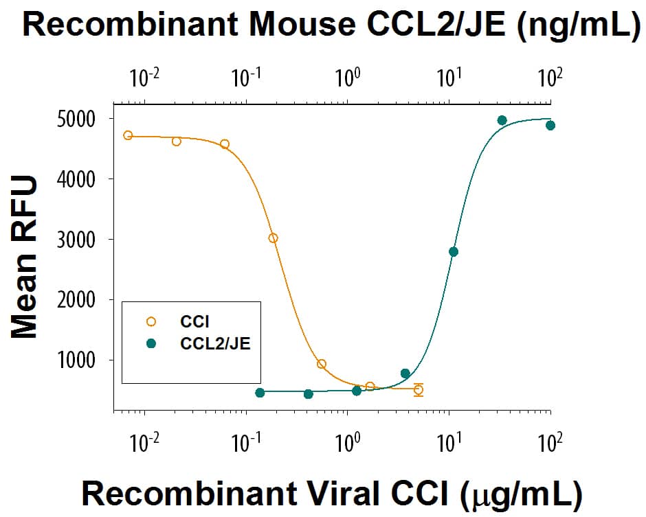 Recombinant Viral CCI Fc Chimera (Catalog # 696-CC) inhibits     Recombinant  Mouse CCL2/JE/MCP-1 (Catalog # 479-JE)  induced chemotaxis of BaF3 mouse pro-B cells transfected with human CCR2A.  The ED50 for this effect is0.1-0.5 µg/mL in the presence of 20 ng/mL Recombinant Mouse CCL2/JE/MCP-1.
