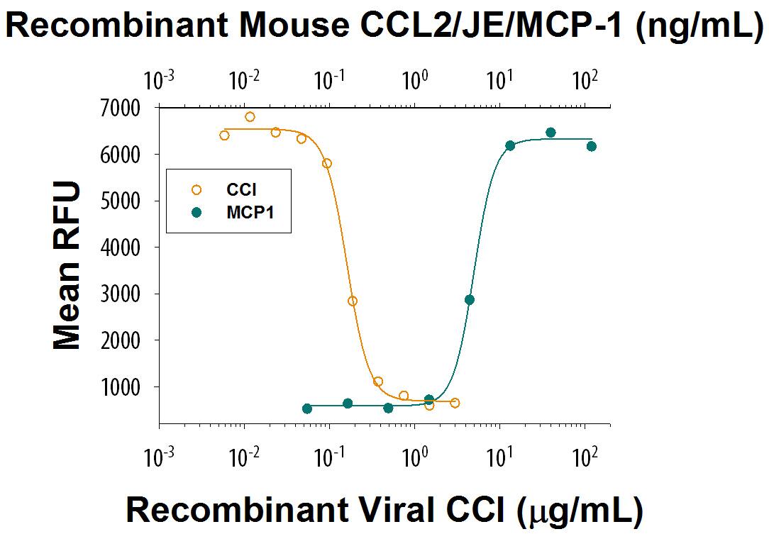 Measured by its ability to inhibit JE-induced chemotaxis of BaF3 mouse proB cells transfected with human CCR2A.  The ED50 for this effect is 0.06 -0.3 μg/mL in the presence of 20 ng/mL of     Recombinant  Mouse CCL2/JE/MCP‑1 (Catalog # 479-JE). 
