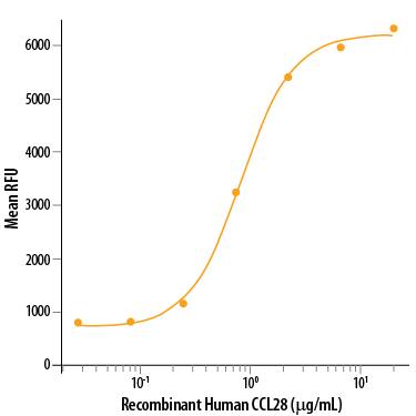 Recombinant Human CCL28 (Catalog # 717‑VC/CF) chemoattracts the BaF3 mouse pro-B cells transfected with mouse CCR10. The ED50 for this effect is 0.4-2.0 μg/mL.