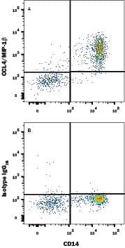 Human peripheral blood monocytes treated with LPS and Monensin for 5 hours were stained with Mouse Anti-Human CD14 APC-conjugated Monoclonal Antibody (Catalog # FAB3832A) and either (A) Mouse Anti-Human CCL4/MIP-1 beta  Fluorescein-conjugated Monoclonal Antibody (Catalog # IC271F) or (B) Mouse IgG2BFluorescein Isotype Control (Catalog # IC0041F). To facilitate intracellular staining, cells were fixed with Flow Cytometry Fixation Buffer (Catalog # FC004) and permeabilized with Flow Cytometry Permeabilization/Wash Buffer I (Catalog # FC005). View our protocol for Staining Intracellular Molecules.