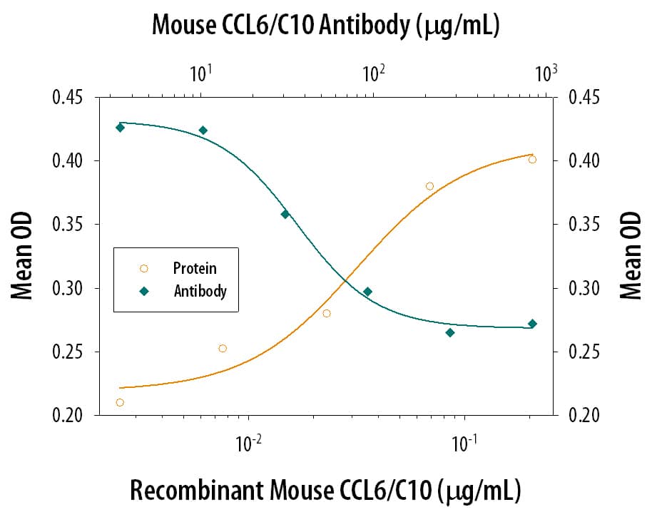 Neutralization CCL6/C10 Antibody