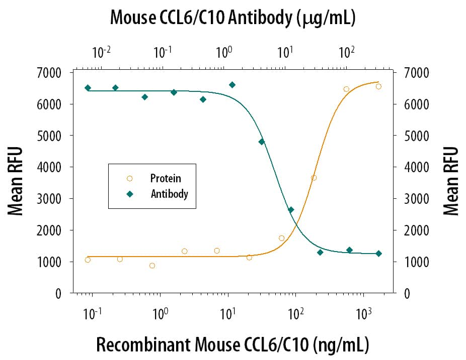 Recombinant Mouse CCL6/C10 (Catalog # 487-C) chemoattracts the BaF3 mouse pro‑B cell line transfected with human CCR1 in a dose-dependent manner (orange line). The amount of cells that migrated through to the lower chemotaxis chamber was measured by Resazurin (Catalog # AR002). Chemo­taxis elicited by Recombinant Mouse CCL6/C10 (1 µg/mL) is neutralized (green line) by increasing concentrations of Rat Anti-Mouse CCL6/C10 Monoclonal Antibody (Catalog # MAB487). The ND50 is typically 6‑24 µg/mL.