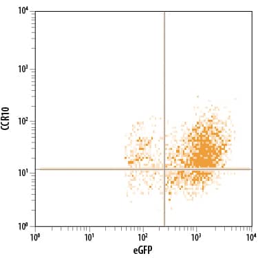 BaF3 mouse pro-B cell line transfected with mouse CCR10 and eGFP was stained with Rat Anti-Mouse CCR10 PerCP-conjugated Monoclonal Antibody (Catalog # FAB2815C) and . Quadrant markers were set based on control antibody staining (Catalog # IC006C). View our protocol for Staining Membrane-associated Proteins.