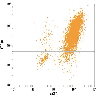 BaF3 mouse pro-B cell line transfected with mouse CCR10 and eGFP was stained with Rat Anti-Mouse CCR10 PE-conjugated Monoclonal Antibody (Catalog # FAB2815P) and . Quadrant markers were set based on control antibody staining (Catalog # IC006P). dView our protocol for Staining Membrane-associated Proteins.